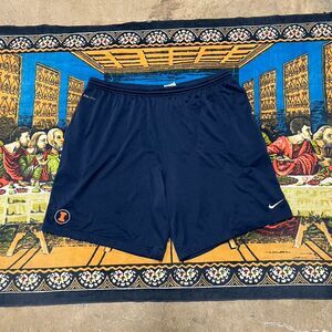 Nike University of Illinois basketball shorts Size xxl shiny dazzle baggy y2k